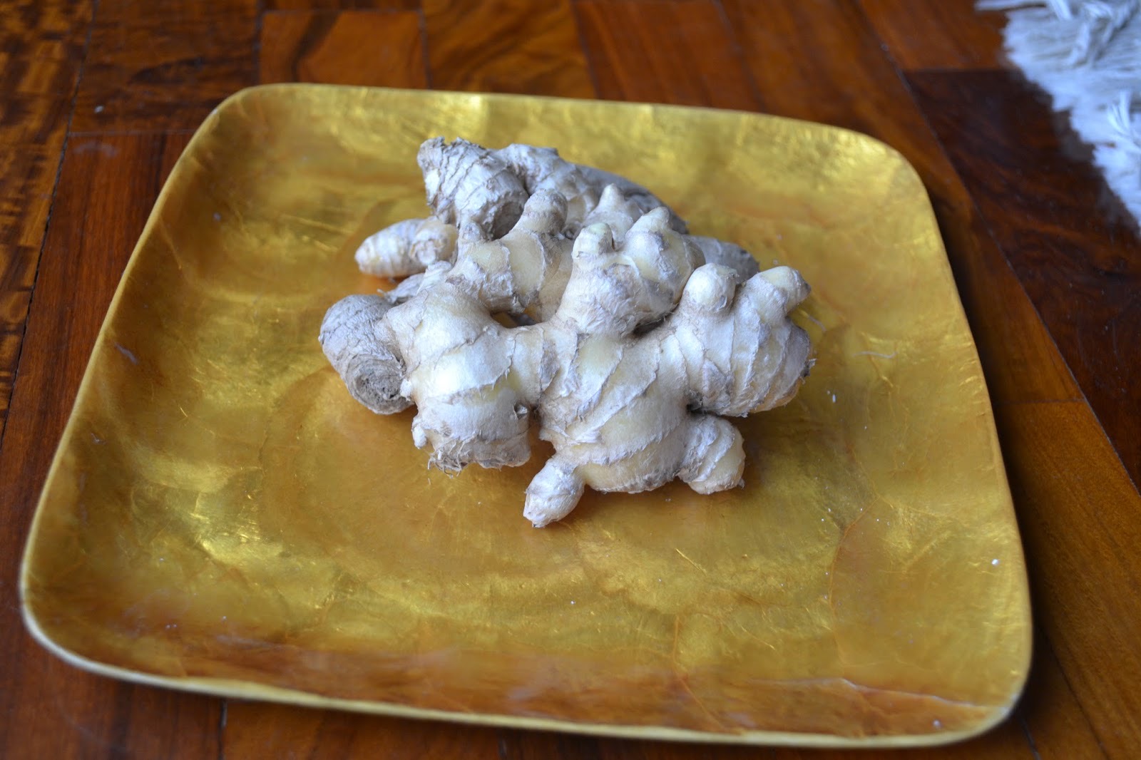 Zenzero acquaponico per Shiitake Gin Zenzero coltivato in acquaponica utilizzato nella ricetta di Shiitake Gin